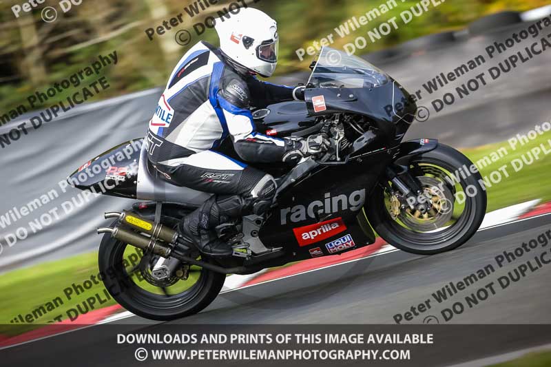 anglesey;brands hatch;cadwell park;croft;donington park;enduro digital images;event digital images;eventdigitalimages;mallory;no limits;oulton park;peter wileman photography;racing digital images;silverstone;snetterton;trackday digital images;trackday photos;vmcc banbury run;welsh 2 day enduro